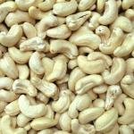 Cashew Nut Jumbo