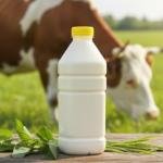 Fresh organic milk (Plastic Bottle)