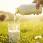 Fresh organic milk (Plastic Bottle)