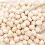 Macadamia Nuts without Shell