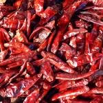 Organic Dried Red Chili