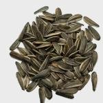 Organic Sunflower Seeds