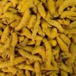 Organic Turmeric Whole