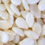Organic White Sesame Seeds